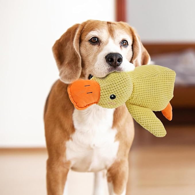 Die Antistress Ente - 🦆 Ruhe und Geborgenheit für deinen Hund